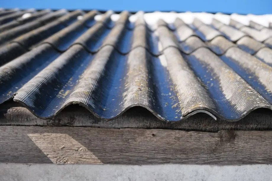 A Pala csere program folyamata